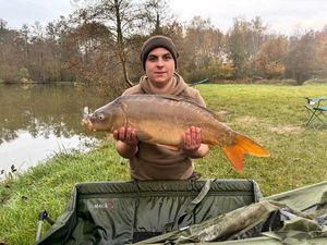 Mirror Carp