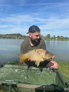 Common Carp