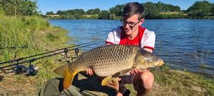 Common Carp
