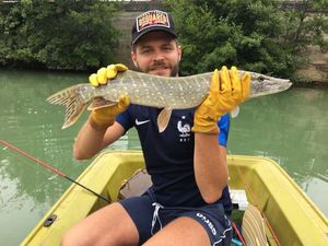 Northern Pike