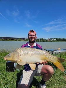 Mirror Carp