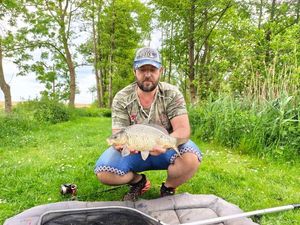 Crucian Carp
