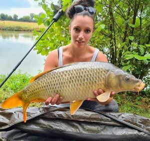 Common Carp