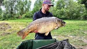 Mirror Carp