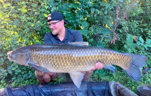 Grass Carp