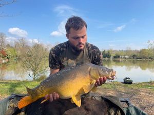 Mirror Carp
