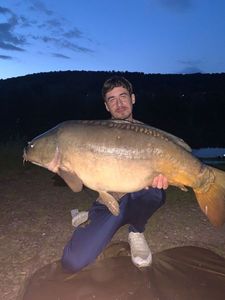 Mirror Carp