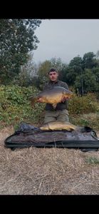 Mirror Carp