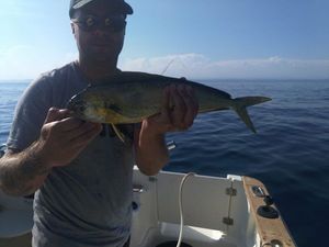 Dolphinfish