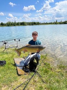 Grass Carp