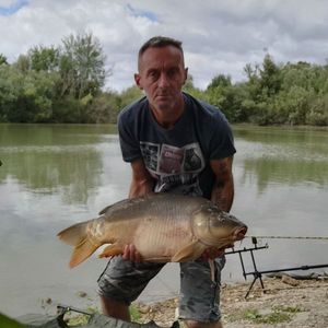 Leather Carp