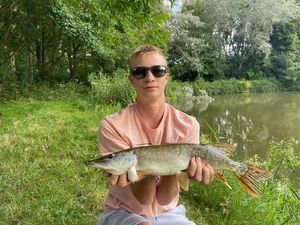 Northern Pike