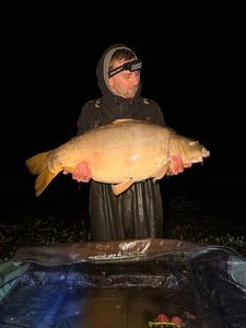 Mirror Carp