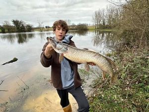Northern Pike