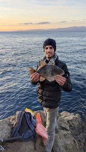 Albacore