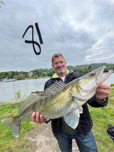 Zander