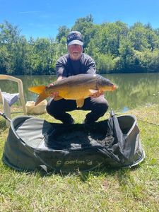 Mirror Carp