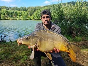 Mirror Carp