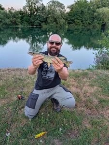 Northern Pike