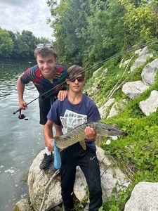 Northern Pike