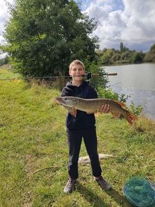 Northern Pike