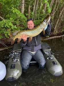Northern Pike