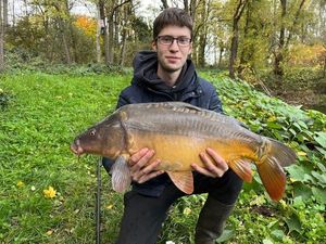 Mirror Carp