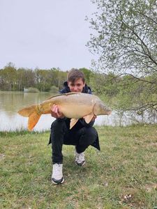 Mirror Carp
