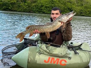 Northern Pike