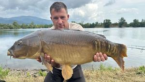 Mirror Carp