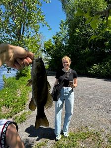 Smallmouth Bass