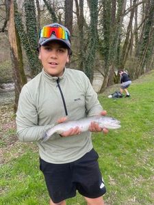 Brown Trout