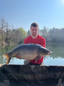 Leather Carp