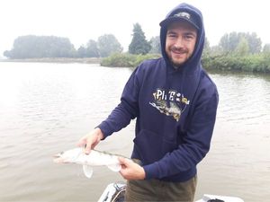 Zander