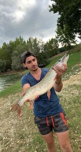 Northern Pike