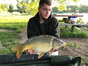 Mirror Carp
