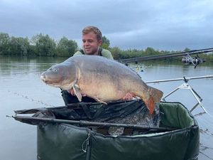 Mirror Carp