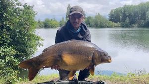 Mirror Carp