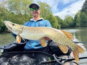 Northern Pike