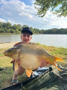 Mirror Carp