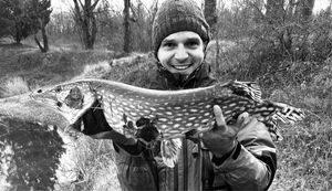 Northern Pike