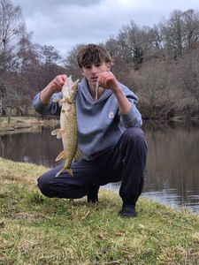 Northern Pike