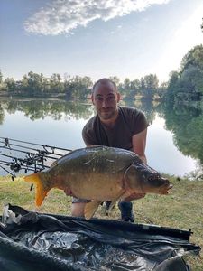 Leather Carp