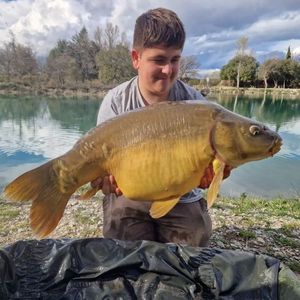 Mirror Carp