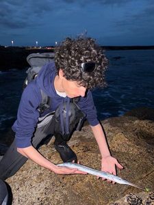 Garfish