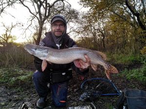Northern Pike