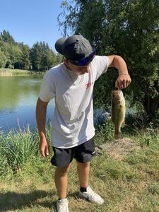 Largemouth Bass