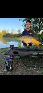 Mirror Carp