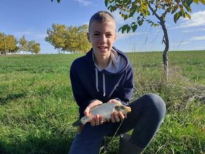 Common Carp