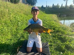 Mirror Carp